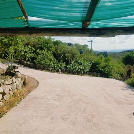 Villa Sara オルビア エクステリア 写真
